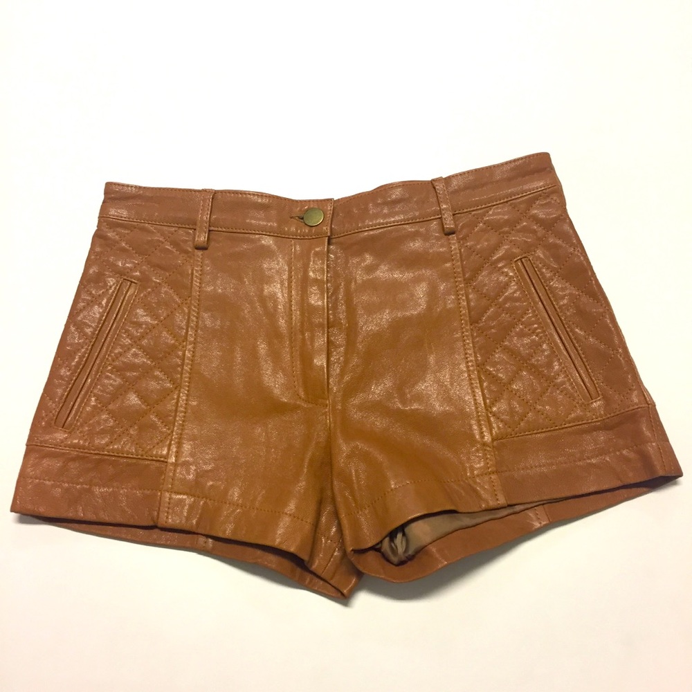 Thakoon Brown Quilted Lambskin Shorts Size 0 - Picture 2 of 12